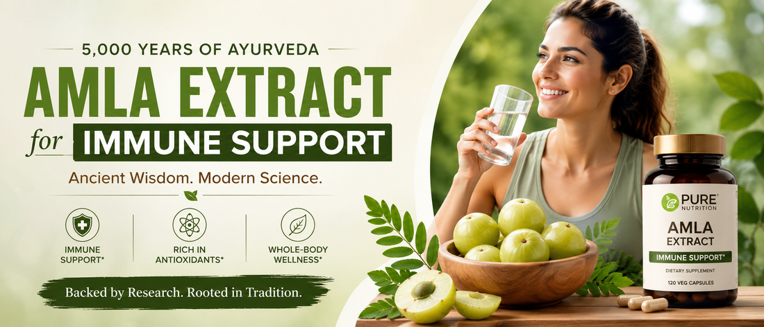 Adult holding amla extract supplement for immune support and healthy aging