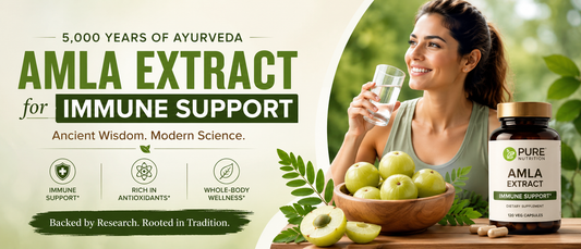 Adult holding amla extract supplement for immune support and healthy aging