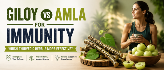 Healthy adult comparing giloy and amla supplements for immune support