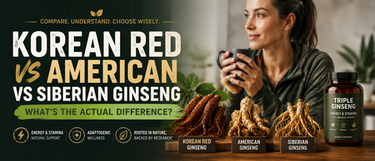 Healthy adults comparing Korean Red, American, and Siberian ginseng supplements for energy support.