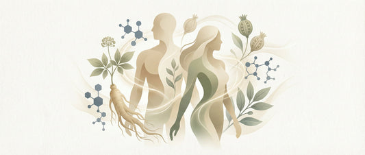 Abstract visual representing sexual wellness supplements and nutritional education, with botanical elements and human silhouettes in a neutral, informative style.
