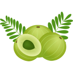 Amla