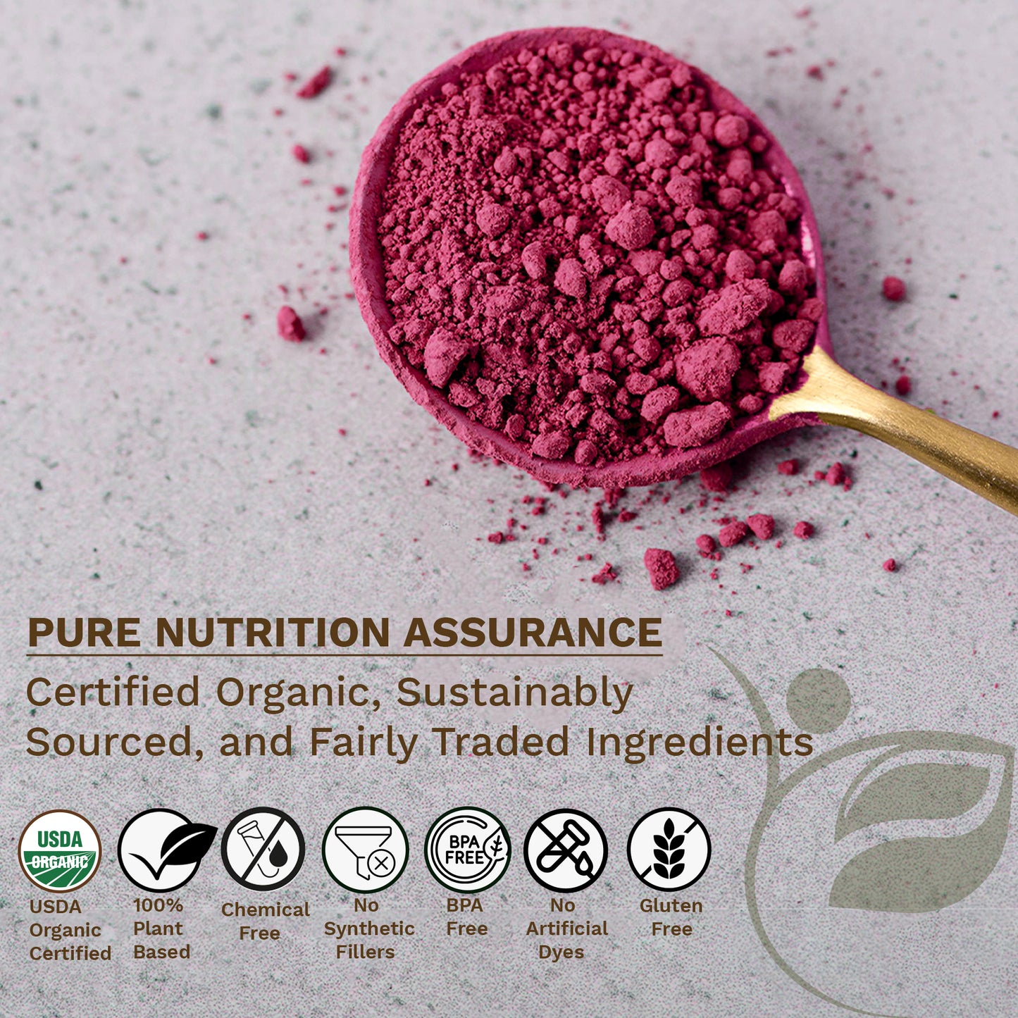 Pure Nutrition Organic Beetroot Powder – 227 g