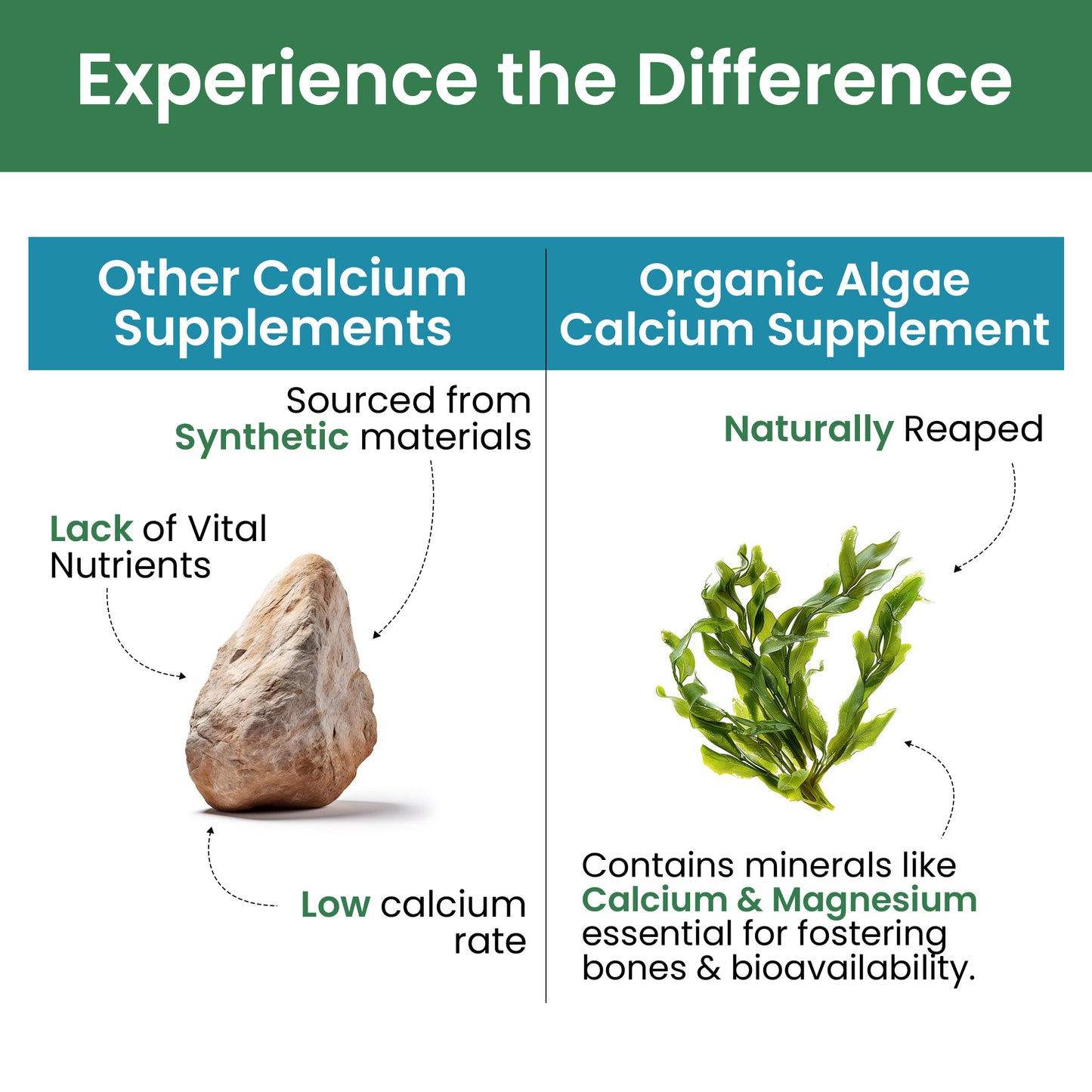 Plant-Based Calcium + D3 Tablets