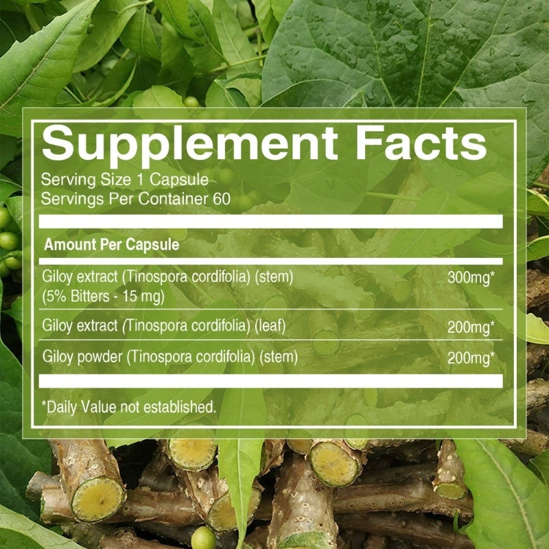 Giloy Extract Capsules – 500 mg (Guduchi) | Immune Support, Antioxidant & Herbal Wellness Supplement