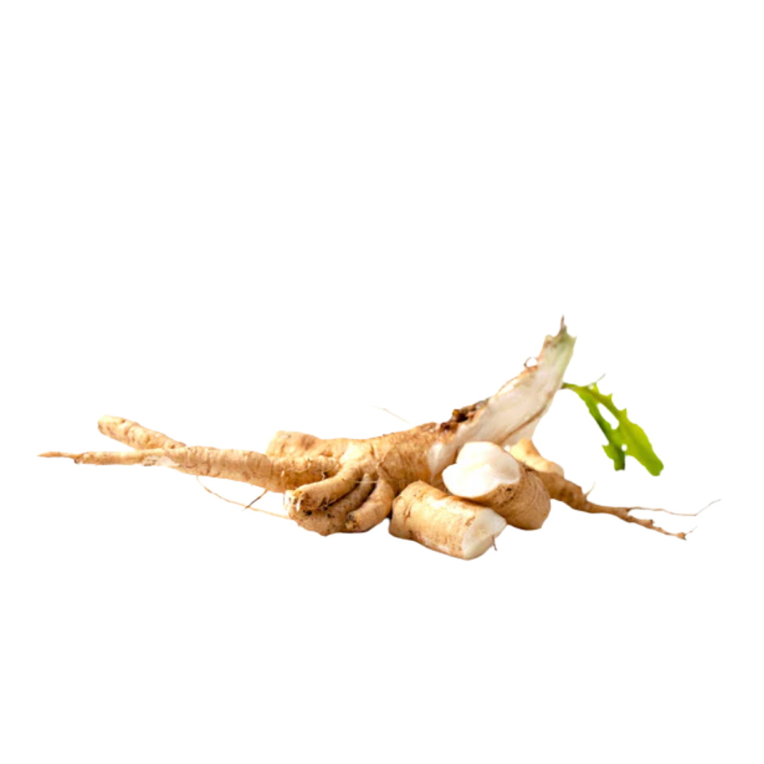 Inulin (Chicoory root)