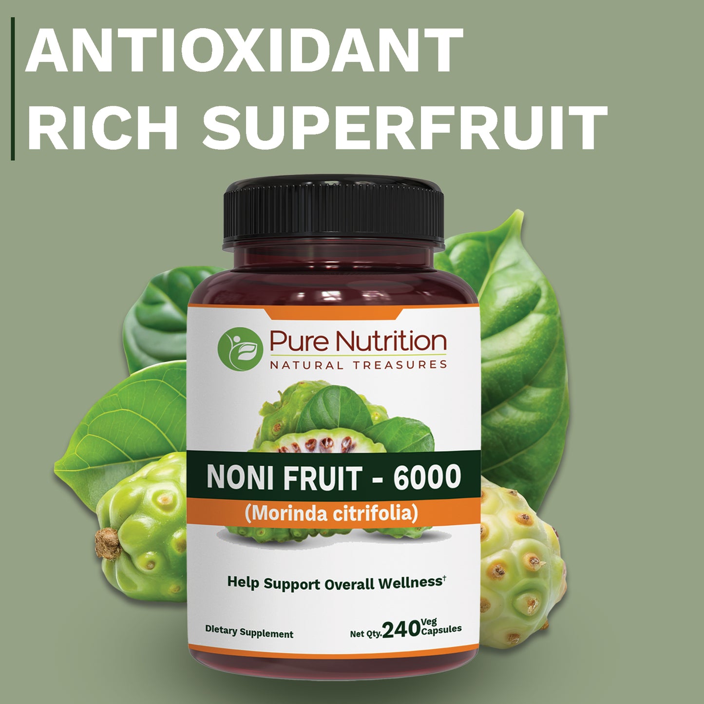 Noni_Fruit_Extract_Page_1-1