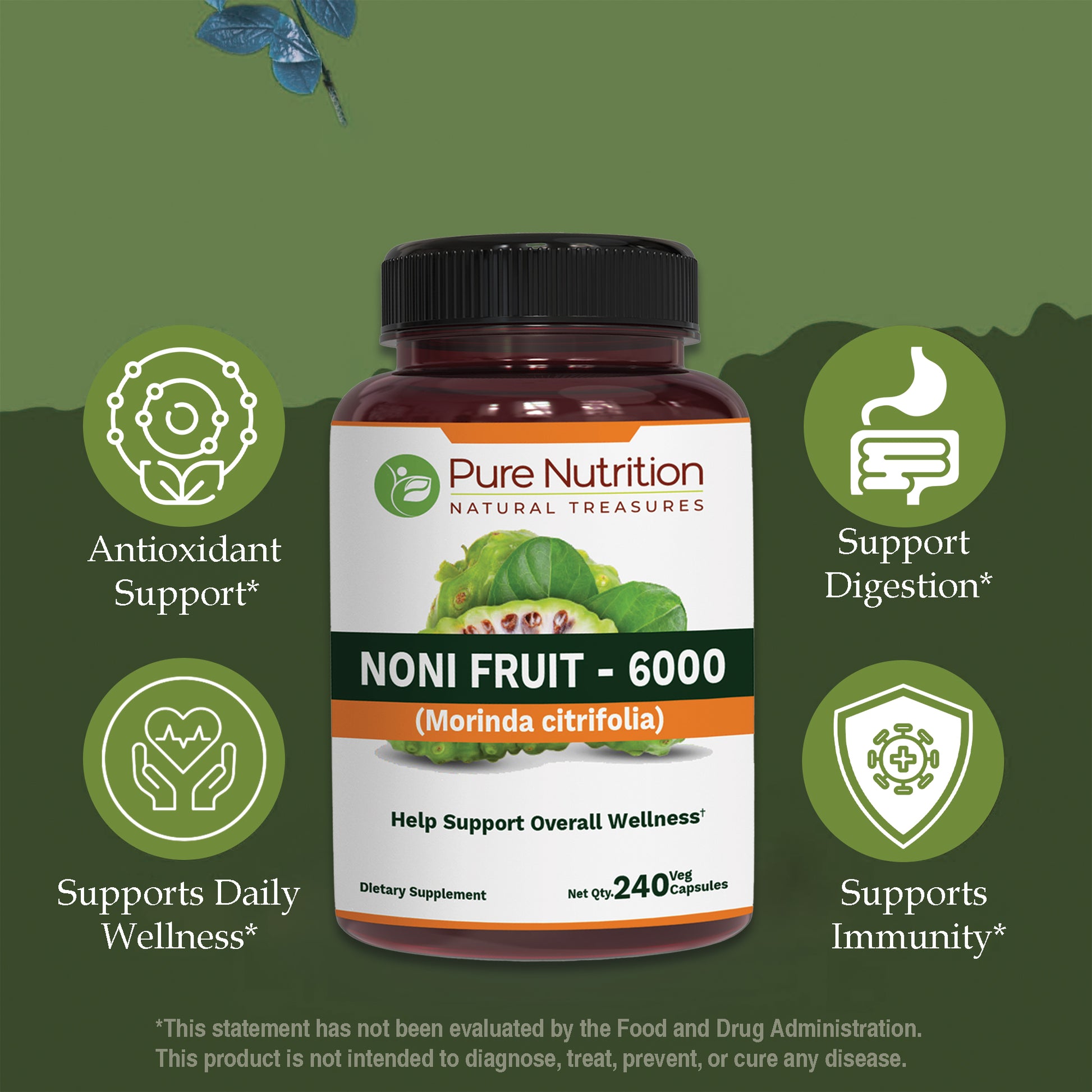 Noni_Fruit_Extract_Page_3