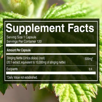 Stinging Nettle