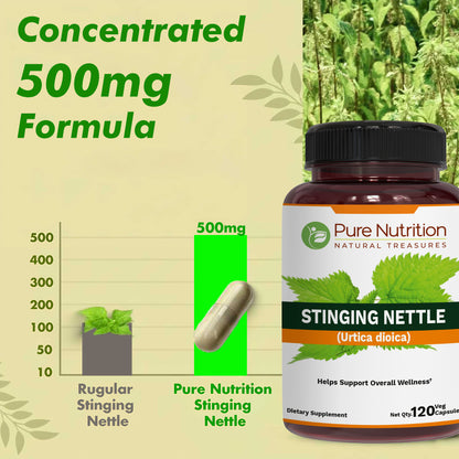 Stinging Nettle